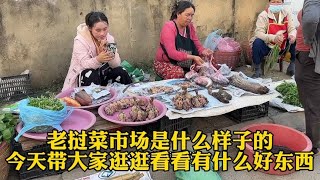 老挝菜市场是什么样子的 原来这里竟然有这么多一级保护动物啊