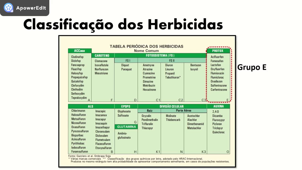 Herbicidas Inibidores Da Enzima PPO Ou PROTOX - YouTube