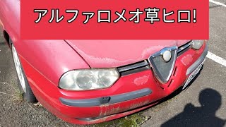 アルファロメオ草ヒロ（廃車、放置車両）発見!