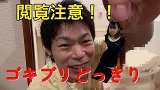 【閲覧注意】虫が大嫌いなお嫁ちゃんにゴキブリドッキリ仕掛けてみた。