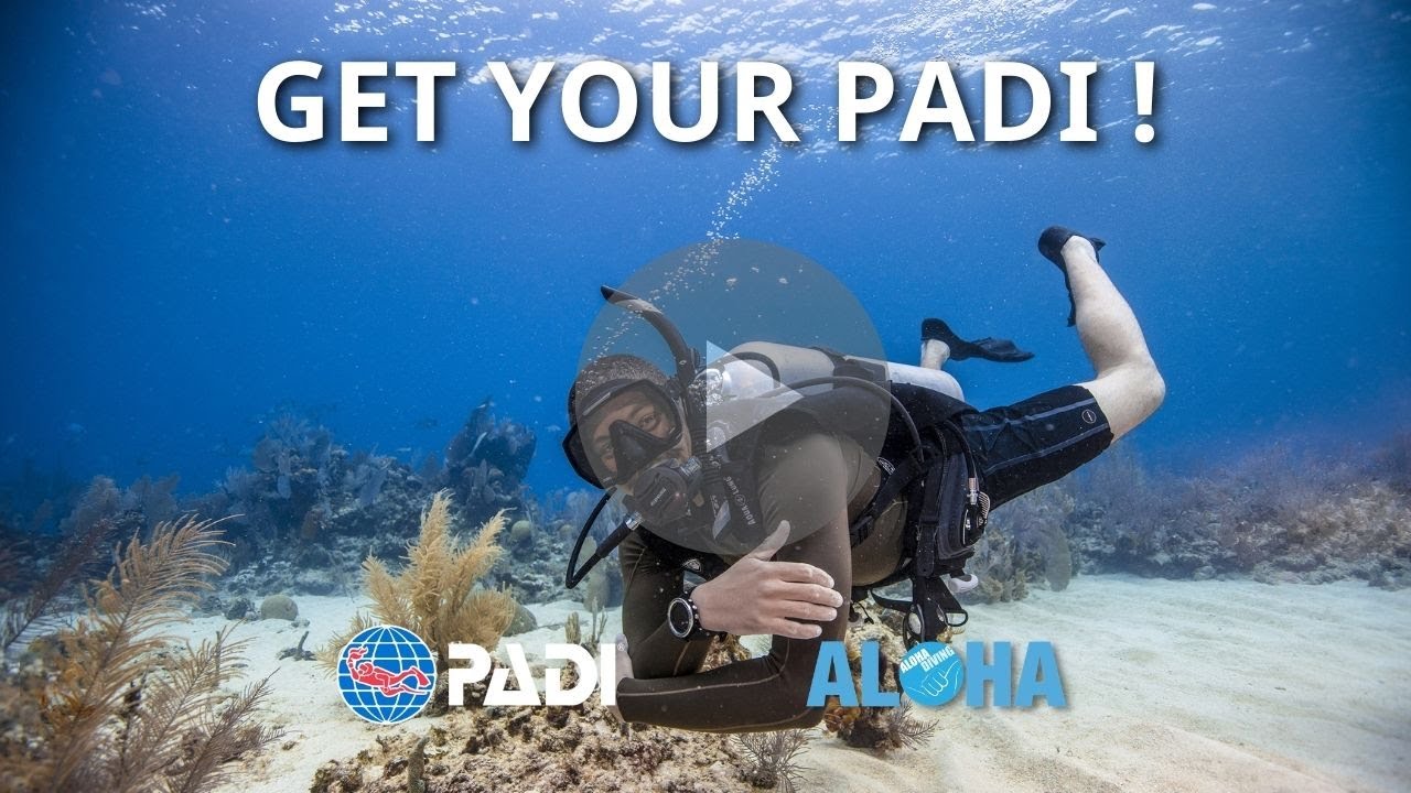 PADI Learn To Scuba Dive - YouTube