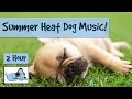 Music to Calm and Cool Dogs in the Summer Heat! Calming Music for Dogs and Puppies in the Sunshine!