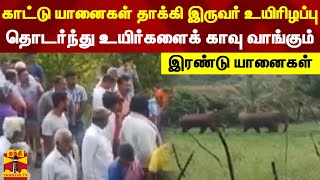 காட்டு யானைகள் தாக்கி இருவர் உயிரிழப்பு..தொடர்ந்து உயிர்களைக் காவு வாங்கும் இரண்டு யானைகள்