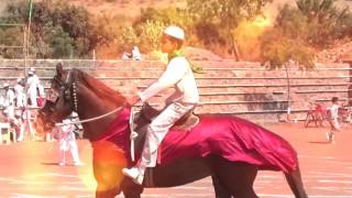 Pearls Academy - II Sports Meet - Horse Riding