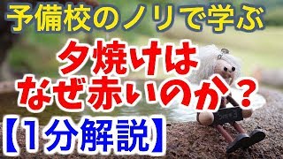 【1分解説】夕焼けはなぜ赤いのか？【物理雑学】