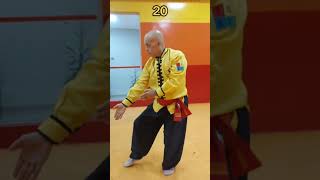 Kung Fu, Taolu Zhong Yi Quan