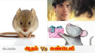 ஆதம் vs சுண்டெலி | sis.jenifer| Storytelling!