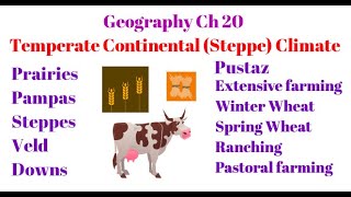 Geography Ch 20 - Temperate Continental ( Steppe type ) Climate