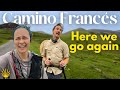 Camino Frances: St-Jean-Pied-de-Port to Pamplona (Camino de Santiago)