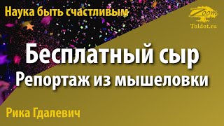 Урок для женщин. Бесплатный сыр. Репортаж из мышеловки. Рика Гдалевич