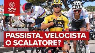 Specializzazioni nel ciclismo su strada | passista, velocista o scalatore?