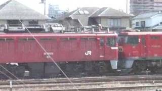 ED75廃車回送＠岩沼駅