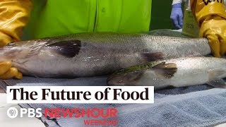 Future of Food: This genetically engineered salmon may hit U.S. markets as early as 2020