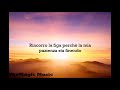 Tiesto & Dzeko - JACKIE CHAN ft. Preme & Post Malone (traduzione ita)