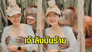 ขอสัมผัสได้ไหมจ๊ะ! ‘ลิงอุรังอุตัง’ ทำเนียน จับหน้าอก-จุ๊บแก้มสาว