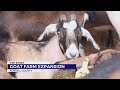 SW Virginia goat farm branches out with new products