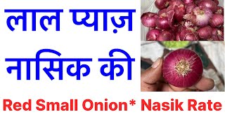 Nashik Lal Kanda, Indian Market Onion 1 Kg Rate Today