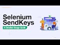 Send keys directly to browser using Selenium with Python