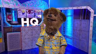 [REUPLOAD] CBBC - continuity and link (29 September 2024)