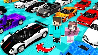 TEGUH DAN ISTRI BELI SEMUA MOBIL PALING MAHAL HARGA RATUSAN JUTA DI MINECRAFT