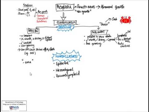 Neoplasia 1 Overview And Nomenclature Youtube