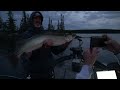 crushin it in canada musky fishing