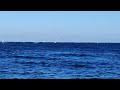 Kite Surfing, Wind Surfing, Egypt, Sharm El Sheikh