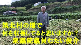 筑北村の野菜畑を訪問しました　令和3年7月13日