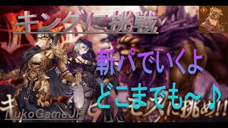 【FFBE幻影戦争】レイドイベント　キングベヒーモスLV86　闇斬パ 【WAR OF THE VISIONS】NukoGame JP