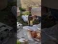 友達とお洒落なpicnicしたよ🧺 picnic おしゃピク ピクニック fyp tiktok