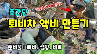 고추가지토마토 퇴비차 영양제 액비 만드는 방법 3일이면 완성 #퇴비차만들기