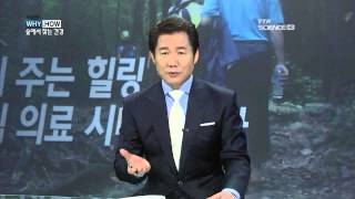 숲에서 찾는 건강 / YTN 사이언스