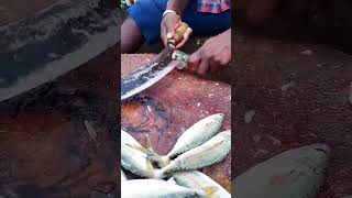 KANANKATHAI FISH 🐟 CUTTING VIDEO SPEED FISH CUTTING