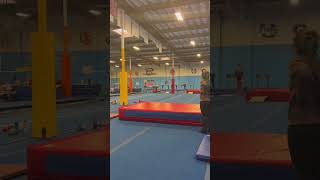 Vault from mock meet