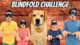 Blindfold Challenge At Home | Leo VS Family | Anant Rastogi