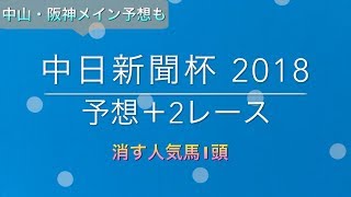 【競馬予想】 中日新聞杯 2018 予想 リゲルS 師走S