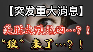 ⚠️  ⚠️  【突发重大消息】 美股大跌元凶...?!  “狼”来了...?! -- 第678期