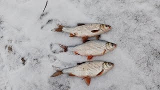 РИБАЛКА В ХЕРСОНІ З БЕРЕГА