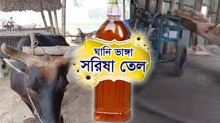 রোবোট গরু দিয়ে ঘানি ভাঙ্গা সরিষা তেল Mustard Oil