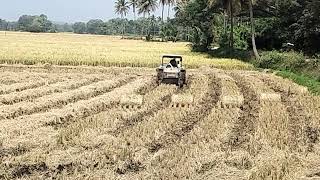 ಭತ್ತದ ಹುಲ್ಲನ್ನು, ರೋಲ್ ಮಾಡುವ ಟ್ರಾಕ್ಟರ್ ಯಂತ್ರ