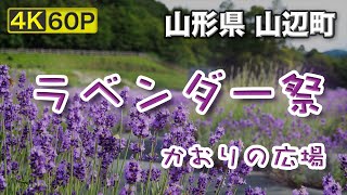 【4K60P】ラベンダー祭 2019 山形県山辺町 / Lavender festival 2019, Yamanobe, Yamagata, Japan