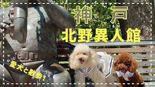 神戸・北野異人館を愛犬と散歩！