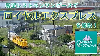 【展望レストランワンピース】ザ・ロイヤルエクスプレスが北海道にやってきた！道東の港町・釧路市街を走り抜ける姿を撮影【釧網線 撮影スポット】