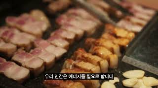 고기를 많이 먹으면 암과 치매가 생긴다고?