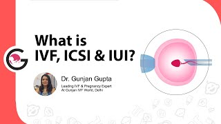 What is IVF, ICSI \u0026 IUI? |Difference between IUI, IVF and ICSI | Dr Gunjan Gupta, Gunjan IVF World