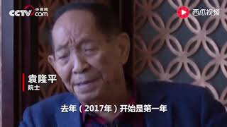 袁隆平团队海水稻迪拜成功试种 将在中东及北非推广