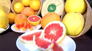 Know When Your Winter Citrus is Ripe