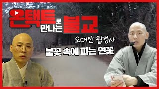 오대산 월정사, 불꽃 속에 피는 연꽃  [온택트로 만나는 불교 3회]