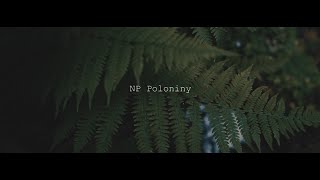 NP Poloniny - Slovensko / MASPhoto