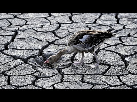 Where was the longest drought in the world?